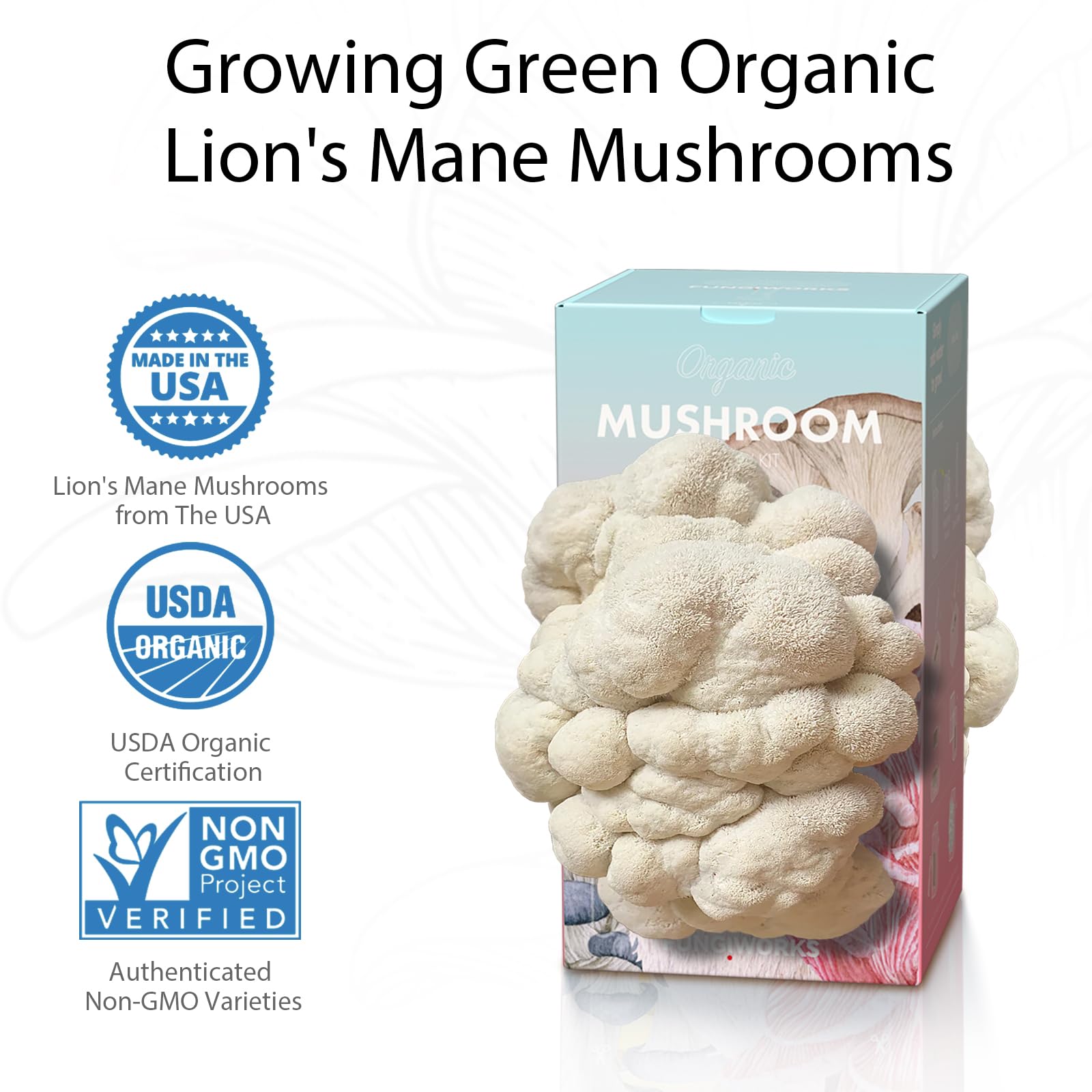 Fungiworks Lions Mane dual-sided openings illustrating higher yield possibilities