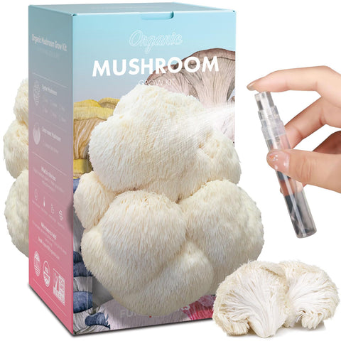Fungiworks Lions Mane kit front view for home cultivation