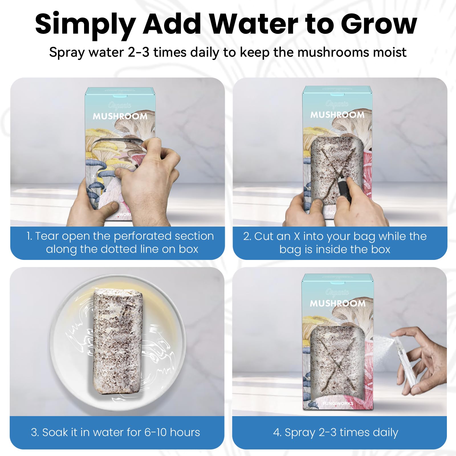 Fungiworks Lions Mane setup step 1 for simple indoor growing