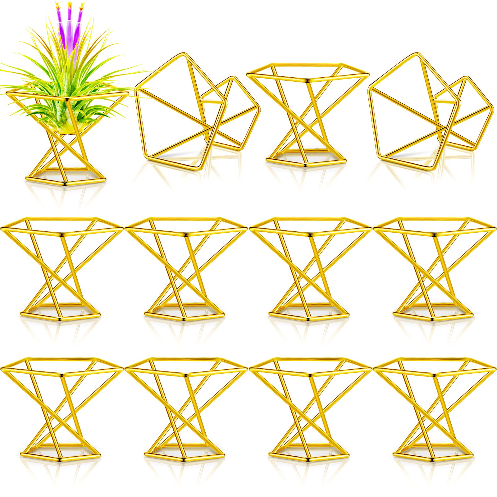 Funrous geometric air plant holder with gold finish, ideal for desk decor.