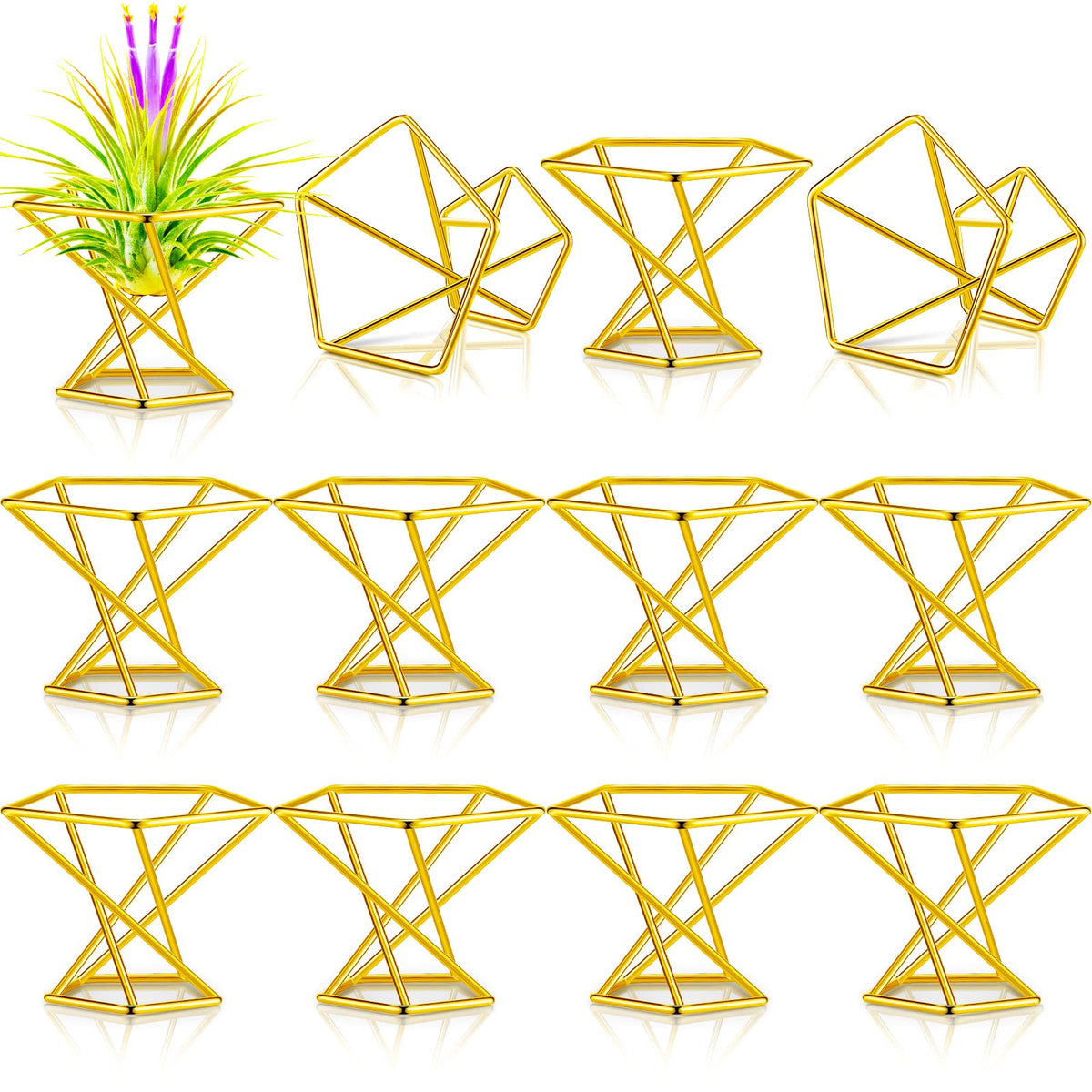 Funrous geometric air plant holder with gold finish, ideal for desk decor.