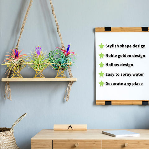 Funrous geometric air plant holder shines on wedding tables.