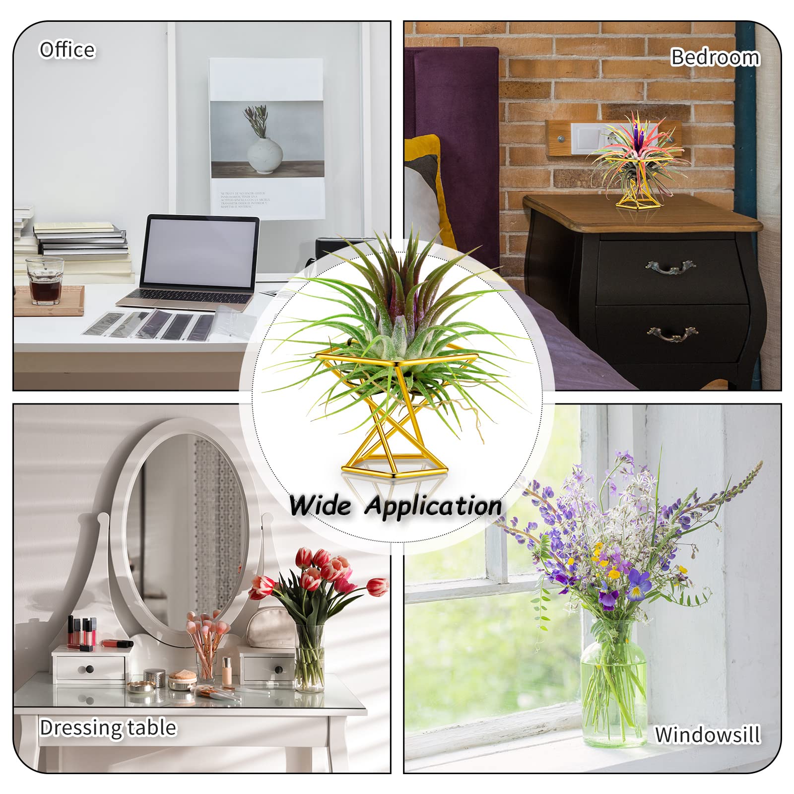 Funrous geometric air plant holder complements living room decor.