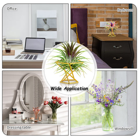 Funrous geometric air plant holder complements living room decor.