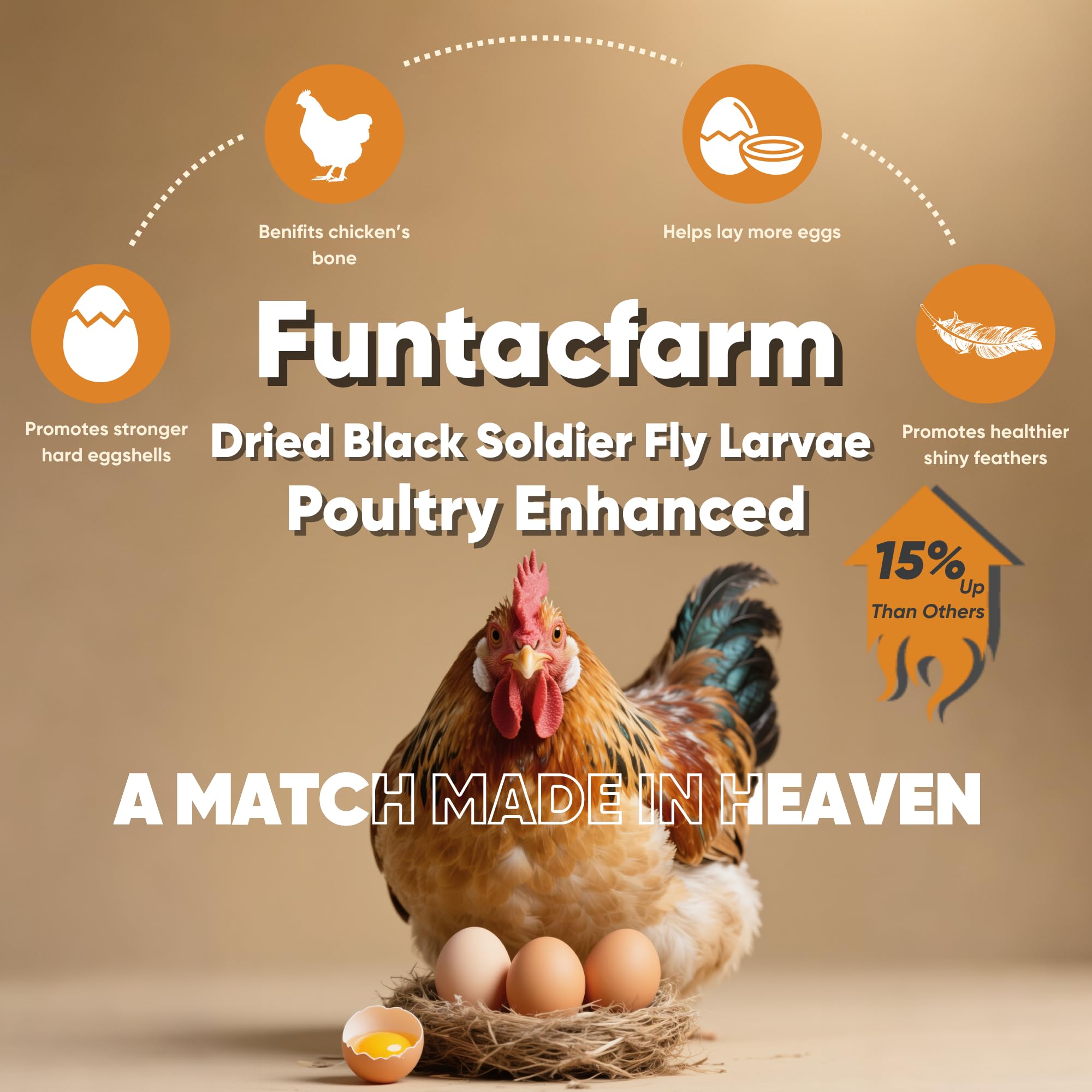 Funtacfarm 5lb BSFL box keeps larvae fresh and ready