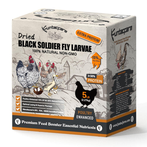 Funtacfarm BSFL dried larvae in bag for chicken treats and birds