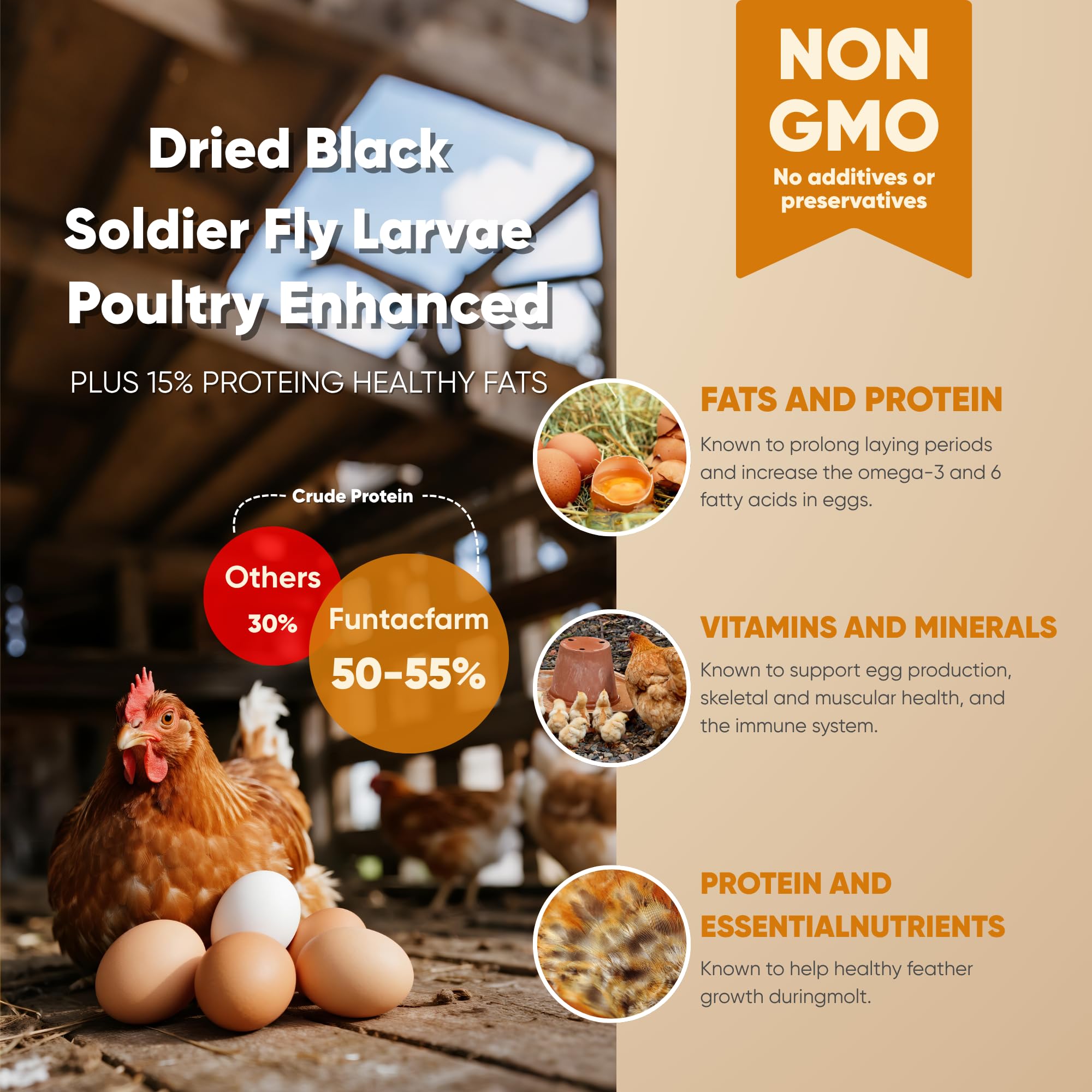 Funtacfarm BSFL protein-dense snack for healthy flocks