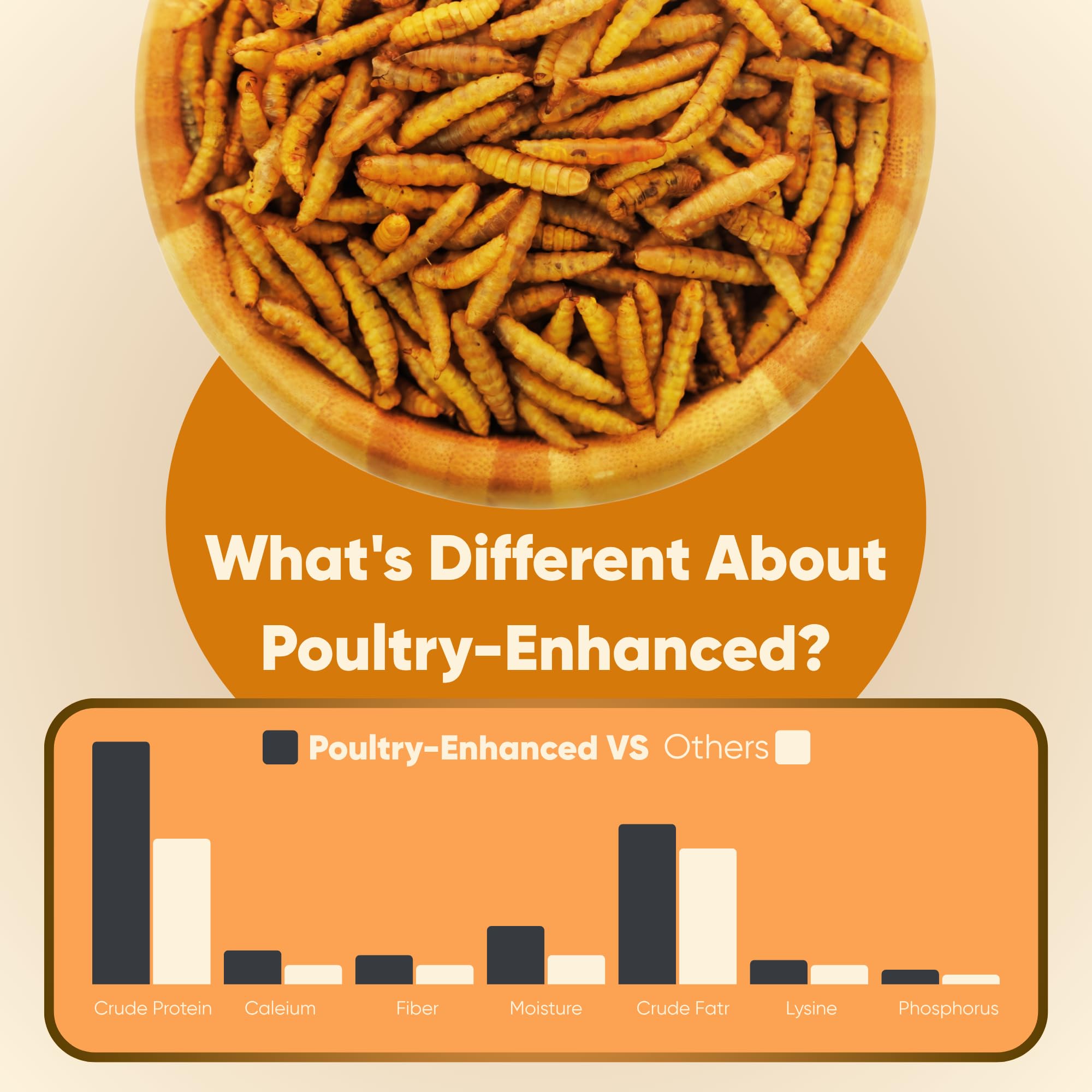 Funtacfarm sustainable, clean protein for backyard flocks