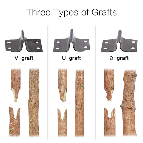 Funteck Omega-graft blade enables strong graft unions with accuracy.