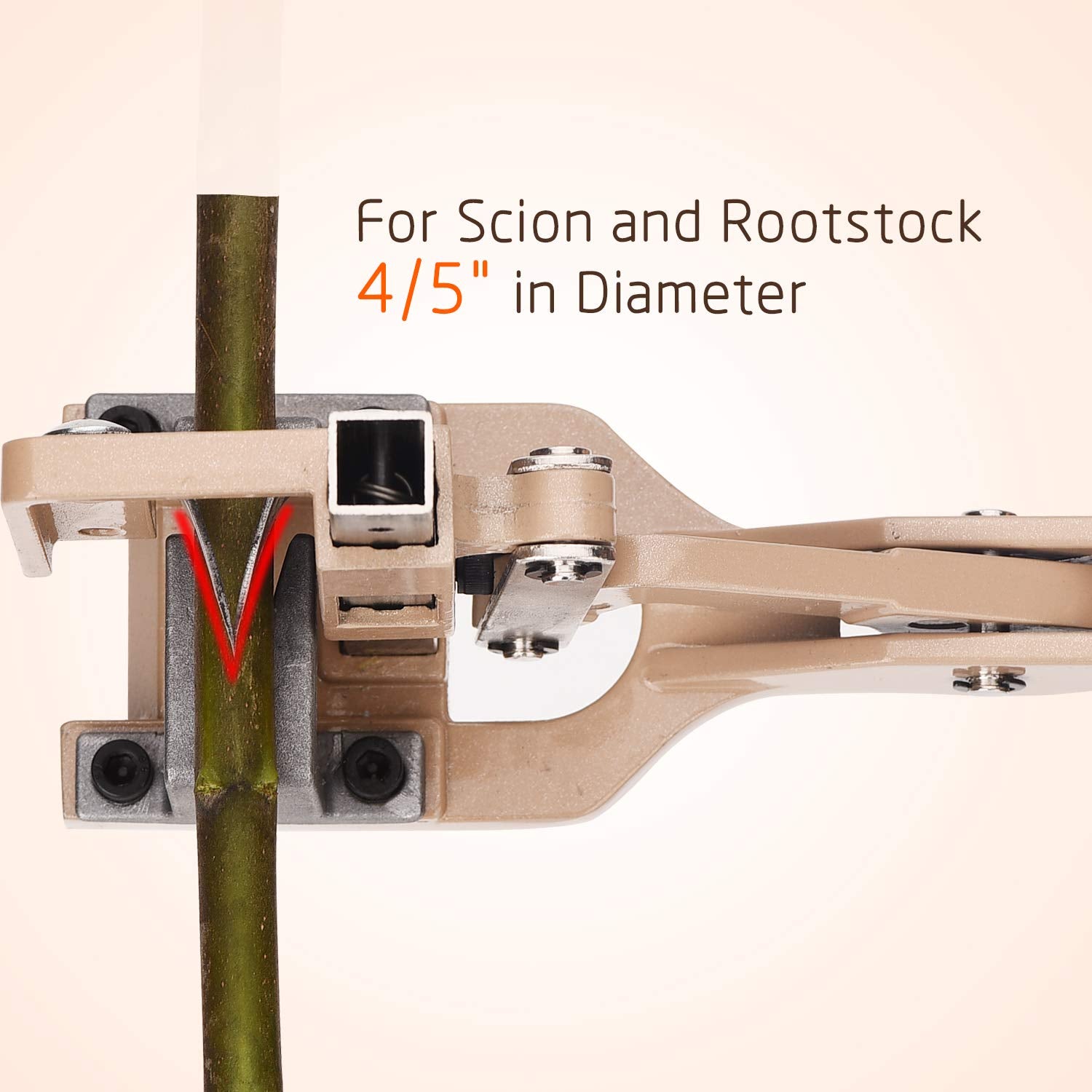 Funteck replaceable SK5 blade ensures sharp, consistent cambial contact during grafting.
