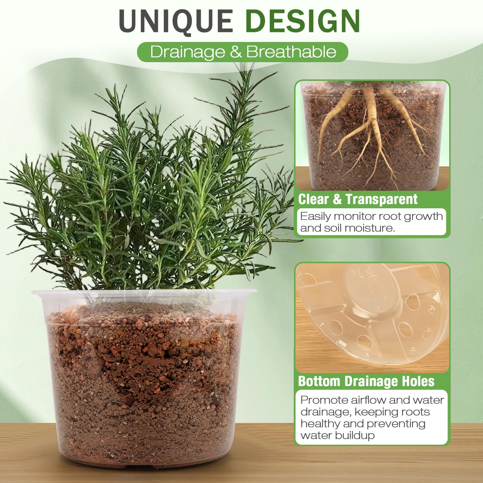 FUOAUYK clear nursery pot 10-inch ideal for seed starting and transplanting