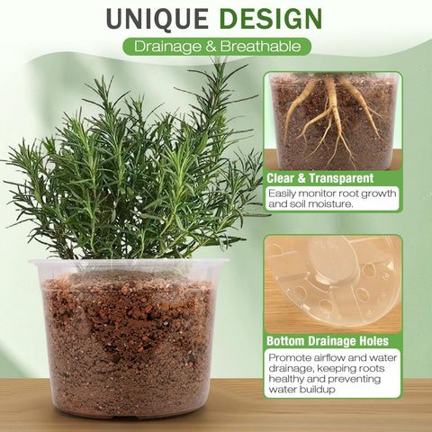 FUOAUYK clear nursery pot 10-inch ideal for seed starting and transplanting