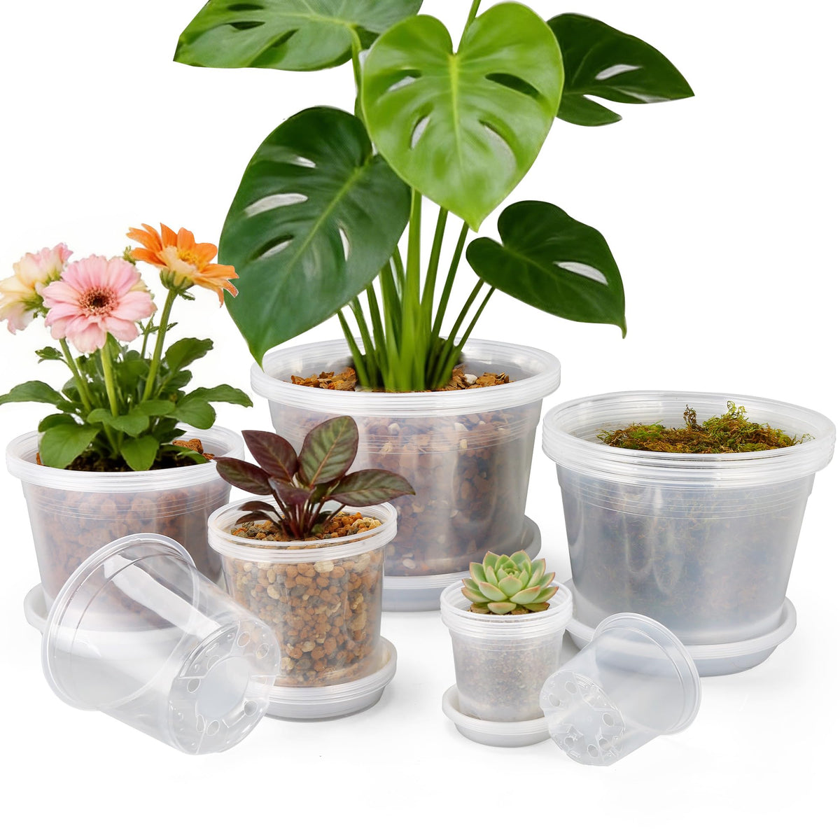 FUOAUYK clear nursery pot 4-inch with saucer for seedling growth and easy watering