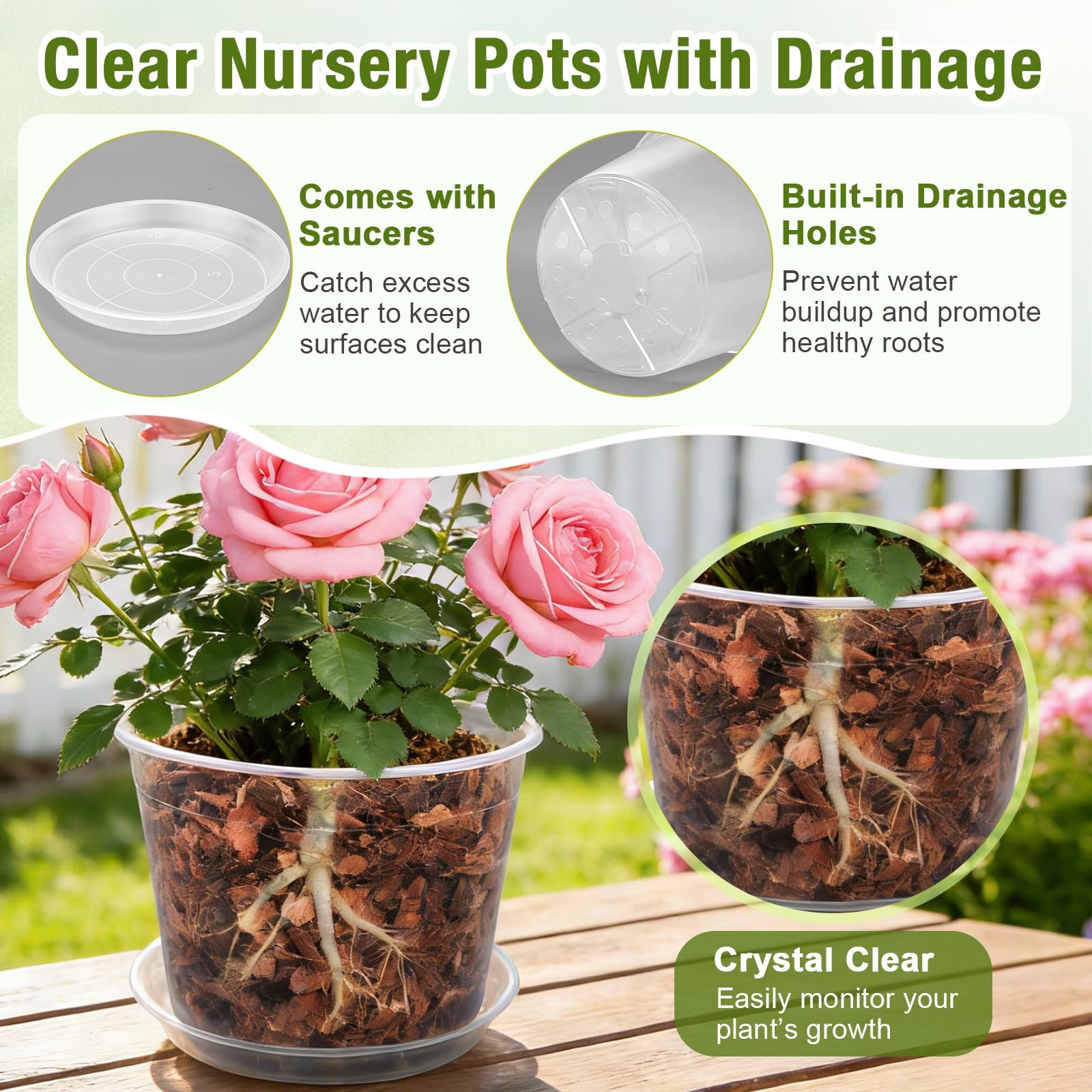 FUOAUYK 8-inch clear nursery pot with saucer for medium plants and cleaner watering