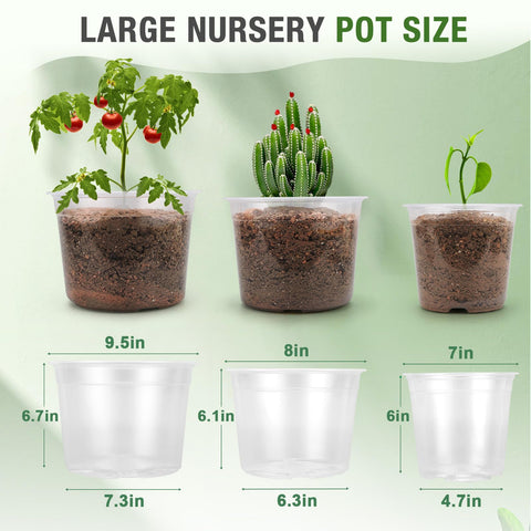 FUOAUYK clear nursery pot 8-inch with drainage holes for moisture control