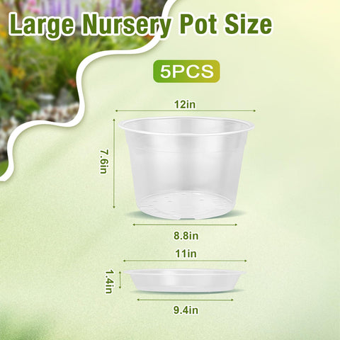 FUOAUYK clear plastic pot reveals root development and soil moisture at a glance.