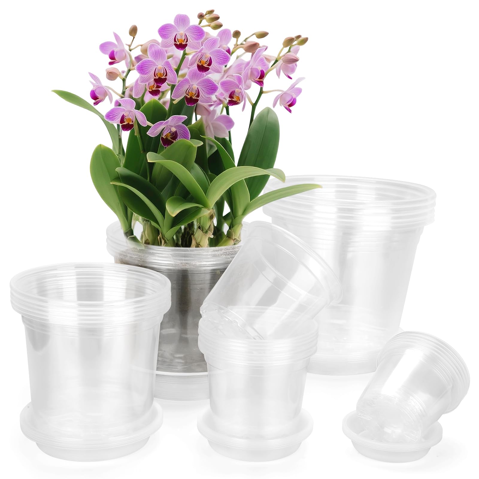 FUOAUYK clear pot 3-inch with tray ideal for seed starting and drainage.