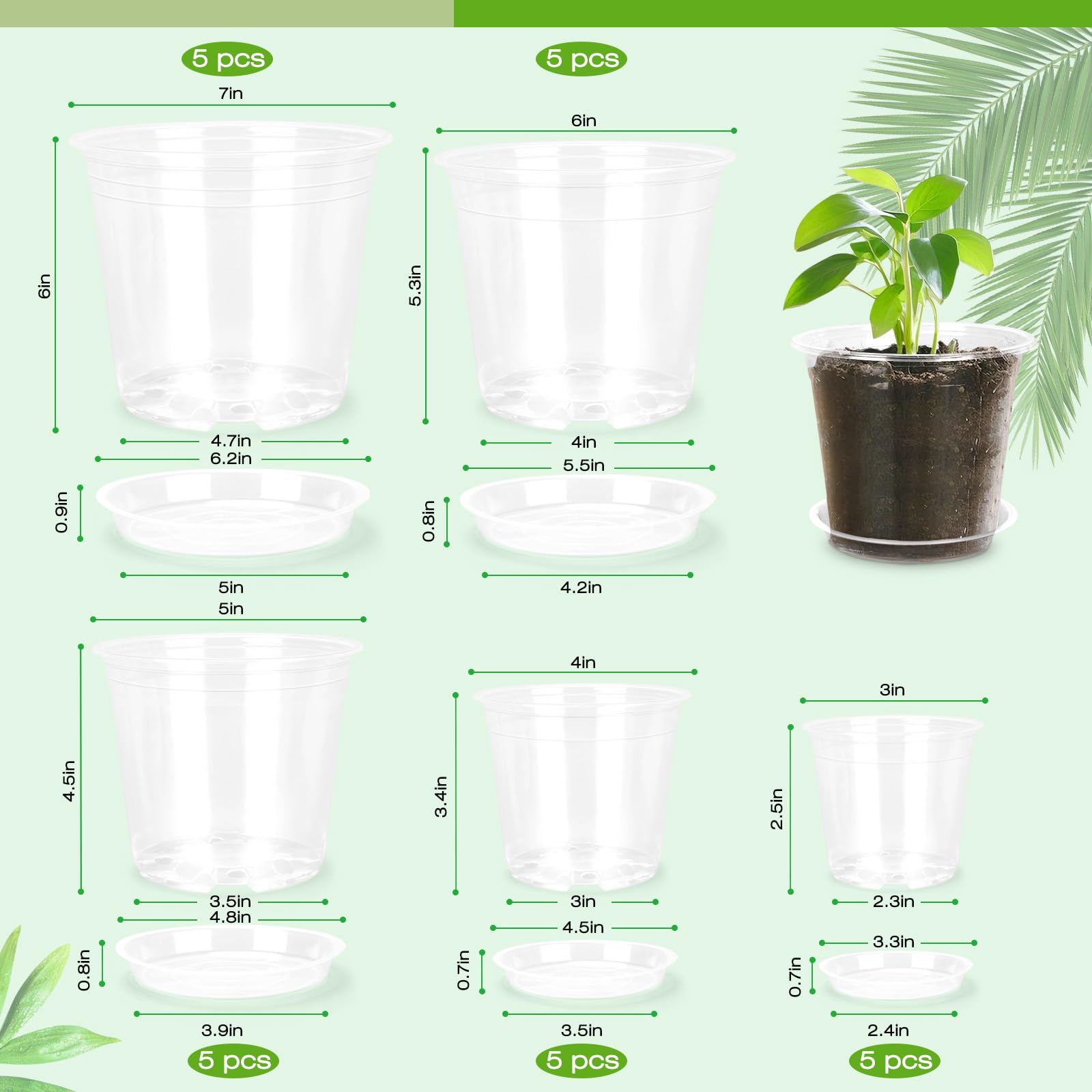 FUOAUYK clear pot 4-inch with tray supports healthy root growth and easy water management.