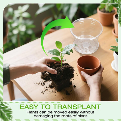 FUOAUYK clear pot 7-inch with tray great for larger seedlings and display.