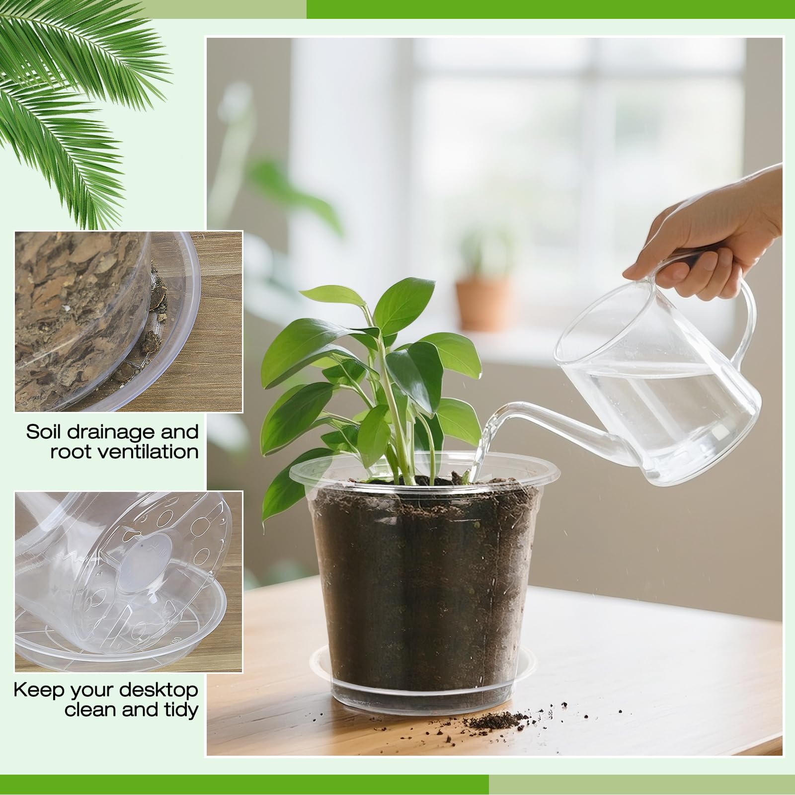 FUOAUYK compact succulent-ready clear pot kit for neat indoor displays