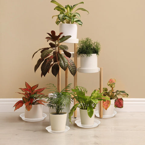 FUOAUYK heavy-pot-friendly saucer supports larger pots and keeps soil edges clean.