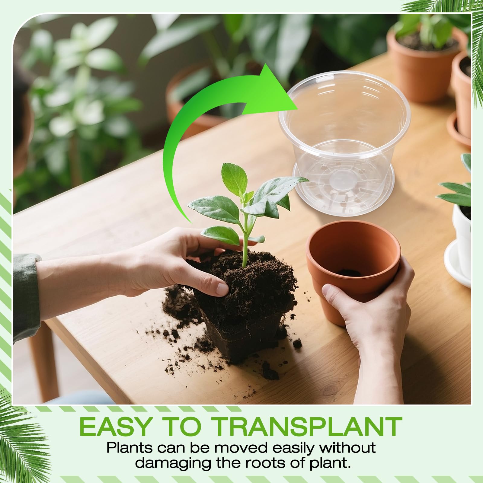 FUOAUYK professional nursery setup benefits from easy water management with trays