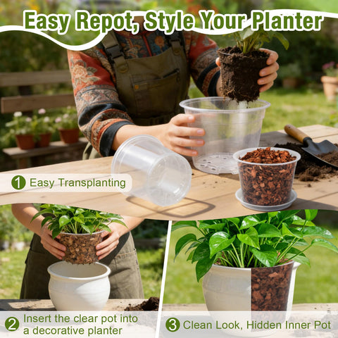 FUOAUYK indoor/outdoor clear pot ideal for monstera and fiddle leaf fig.