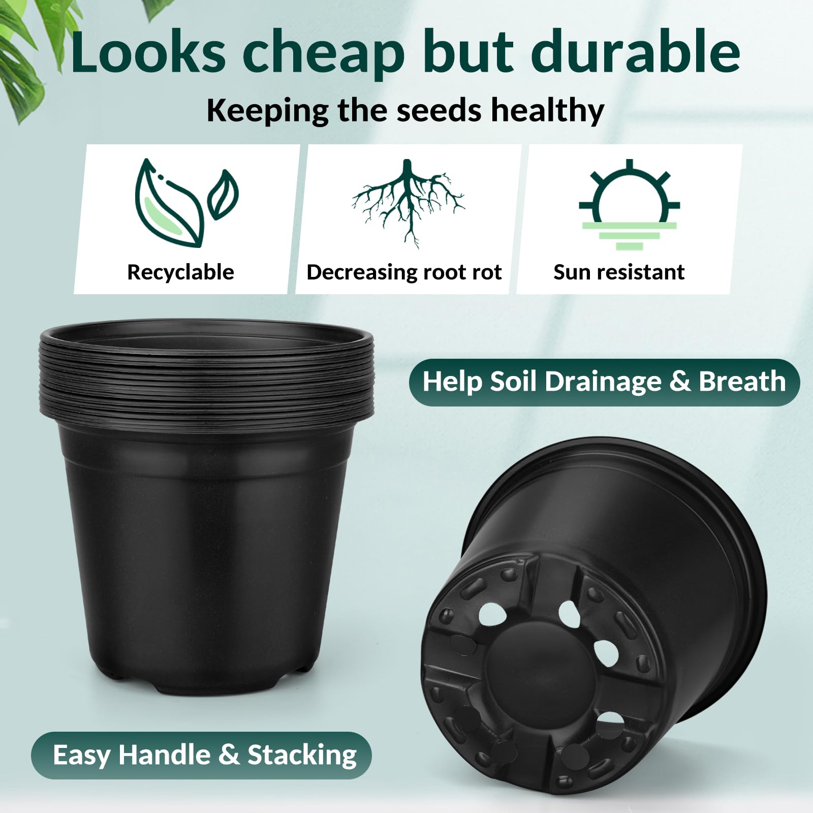 FUOAUYK 6-inch starter pot supporting strong root development.
