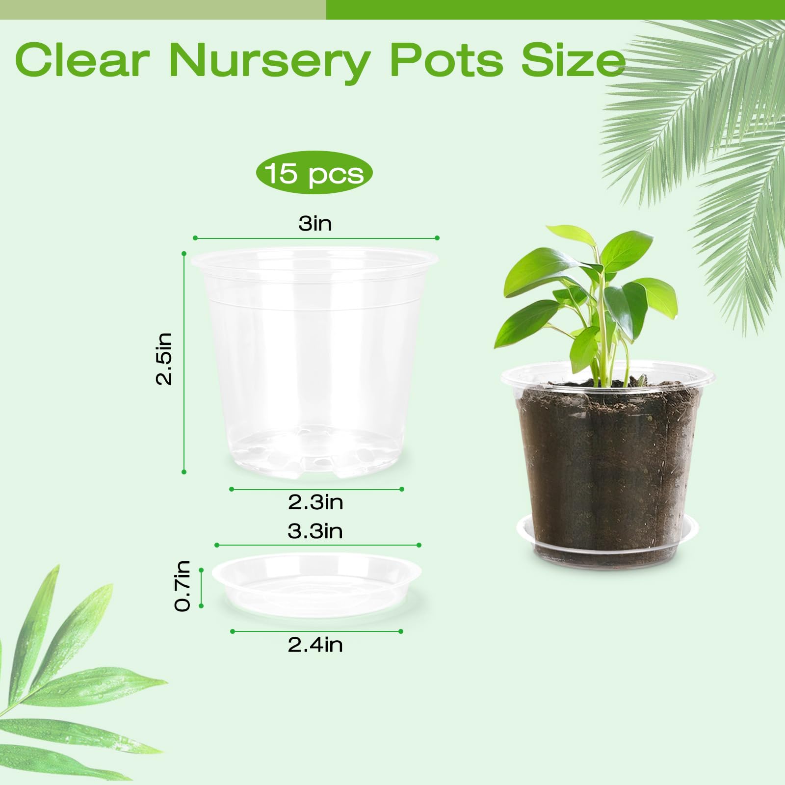 FUOAUYK transplanting clear pot highlights root growth to guide repot decisions