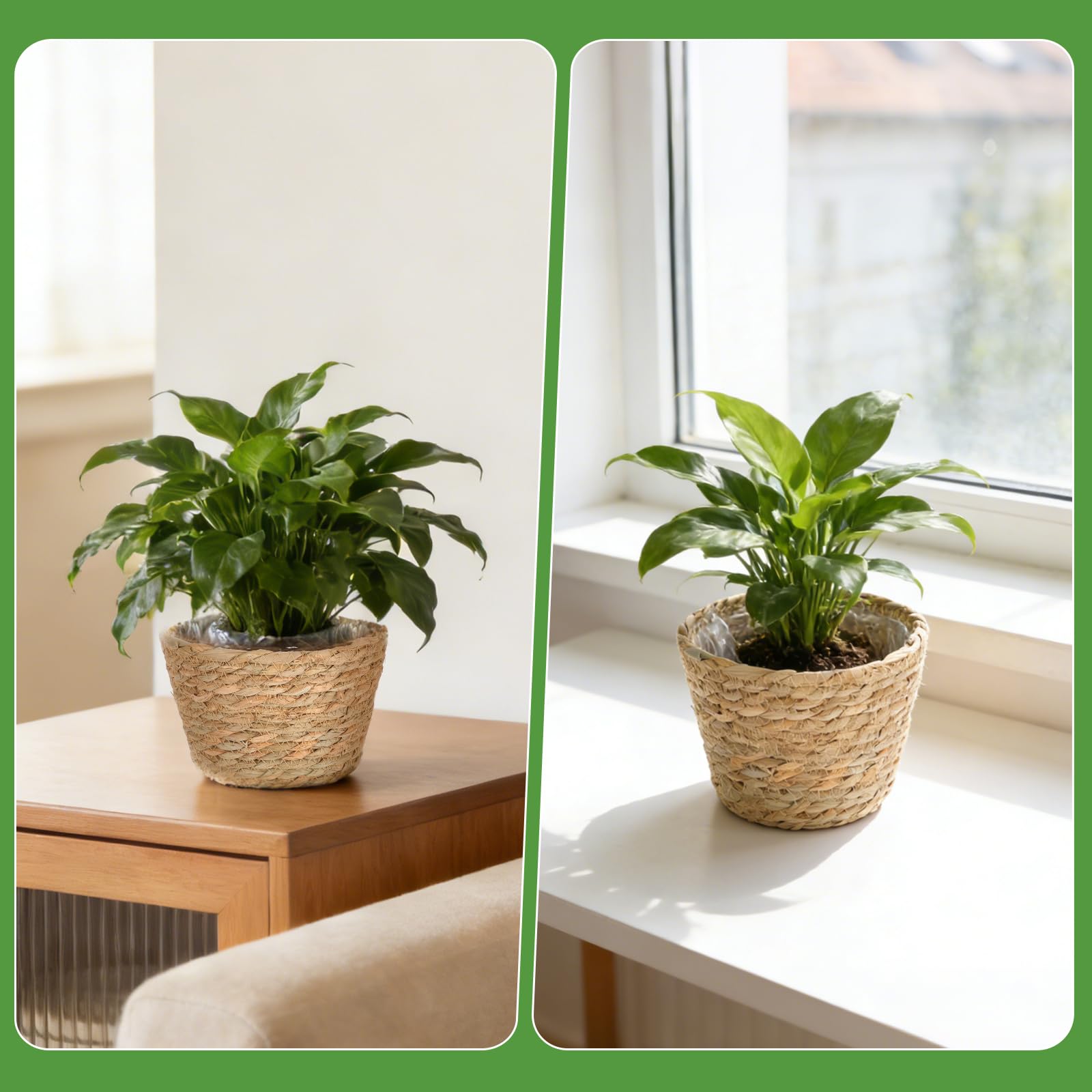 FUPMILPHRANX seagrass basket enhances greenery with breathable design.