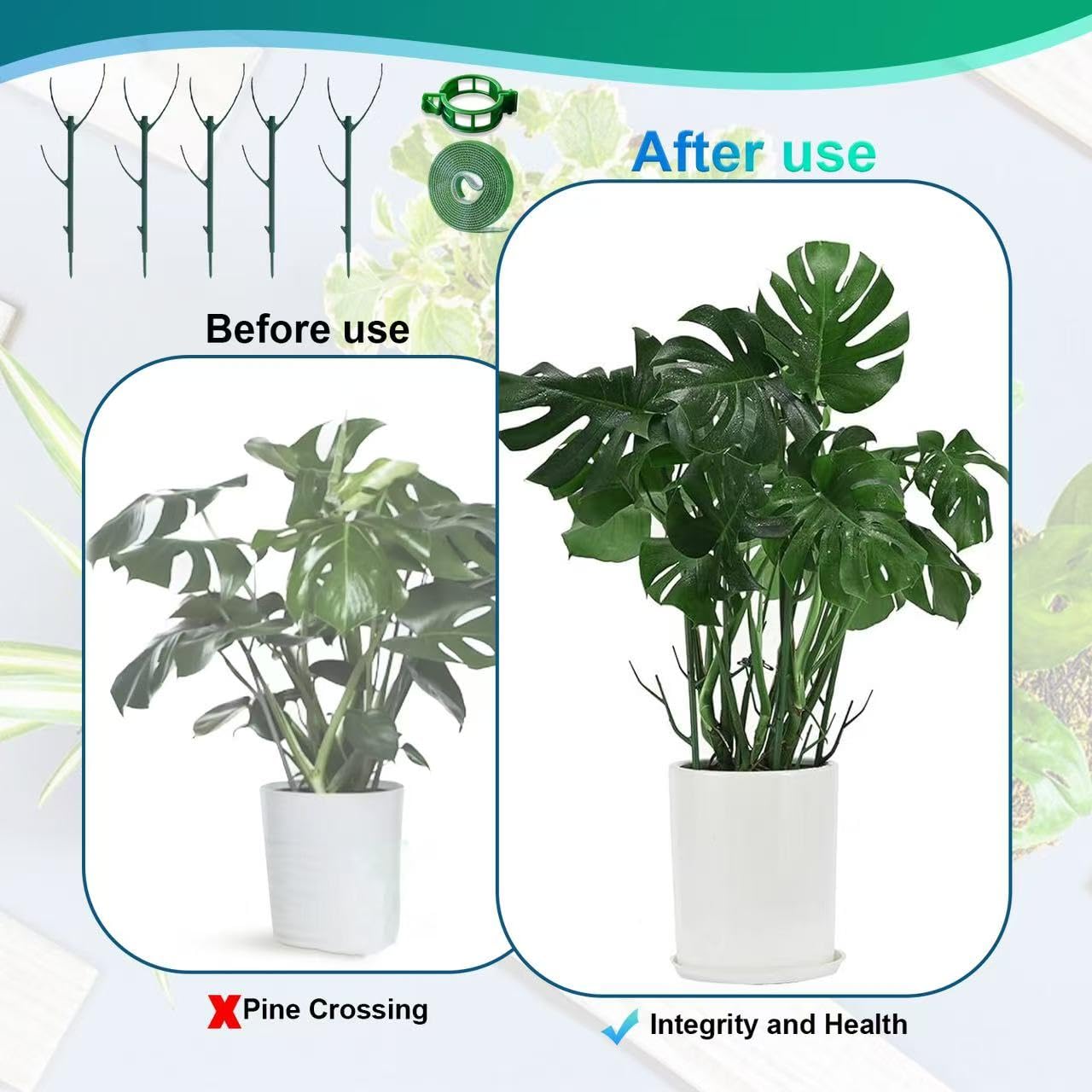 Fushichang stackable frame inserted into pot stabilizes tall plants