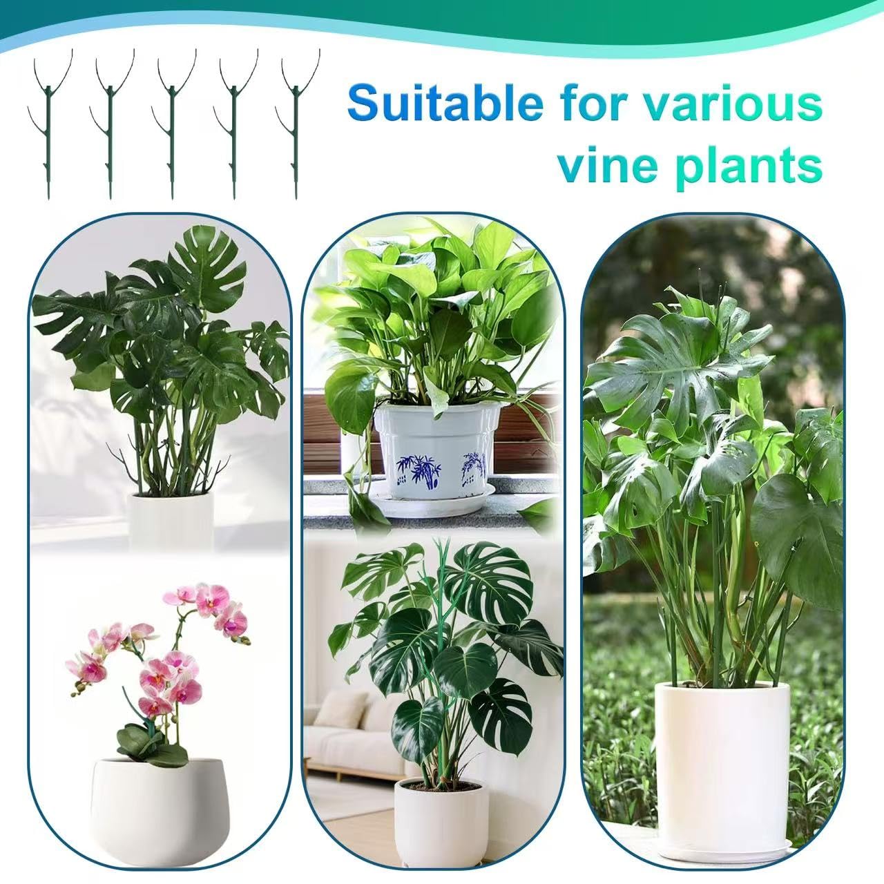 Fushichang adjustable height frame grows with your plant needs