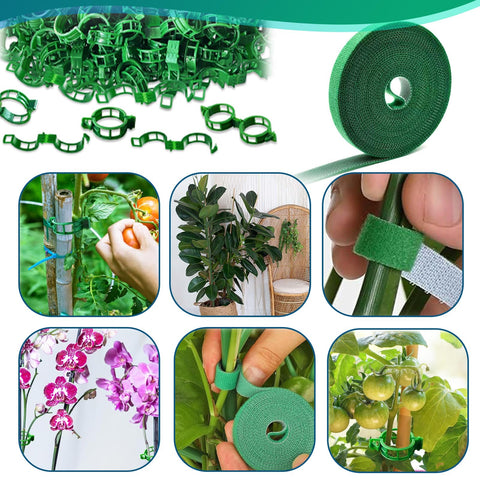 Fushichang frame kit with Velcro tape secures delicate stems safely