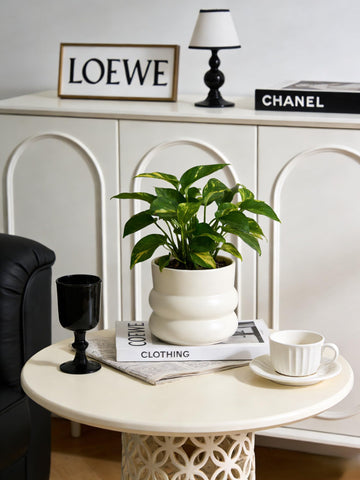 FUYHE 6-inch ceramic planter with opening showcases easy planting and growth.