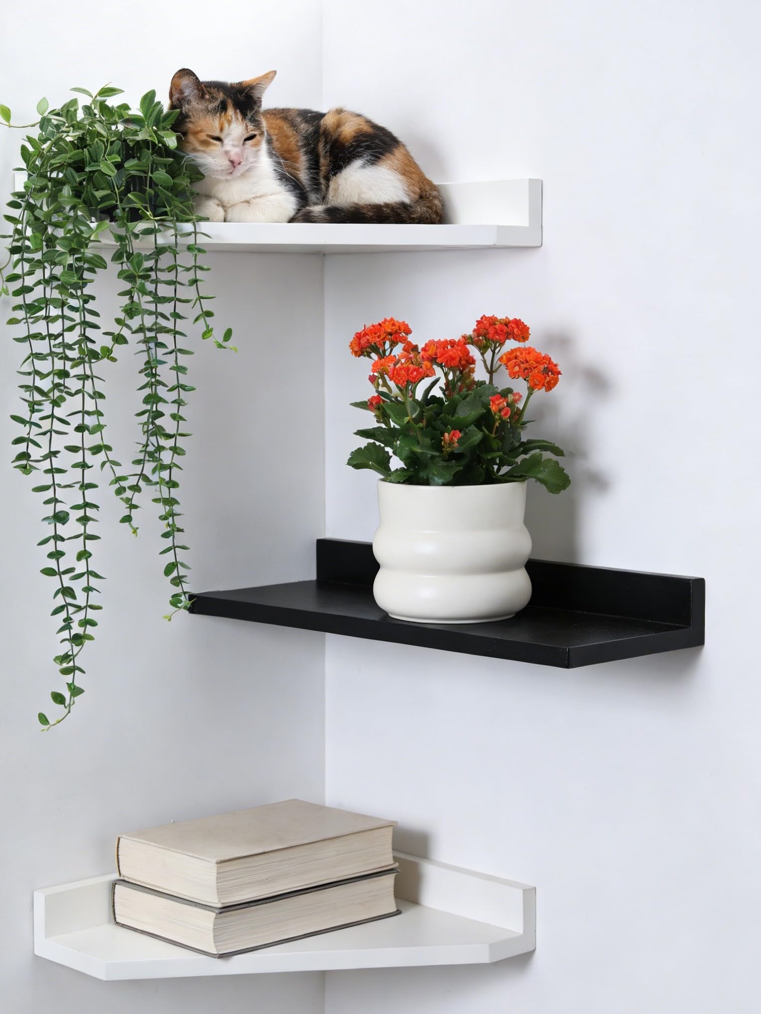 FUYHE ceramic pot with drainage hole promotes healthy root airflow.