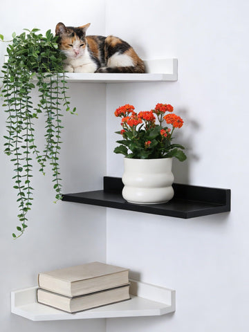 FUYHE ceramic pot with drainage hole promotes healthy root airflow.