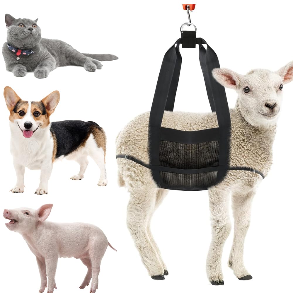 Fuziddn heavy-duty sling for goats ensuring stable positioning for precise weight checks
