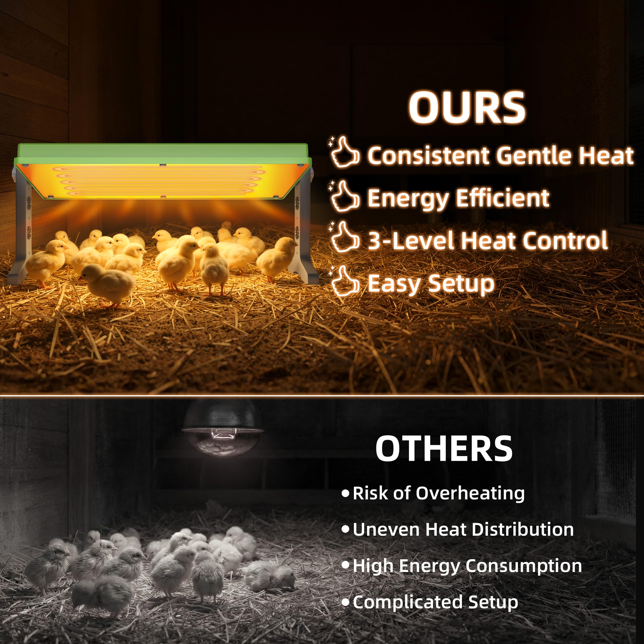 Clear lid reveals an organized brooder setup for easy monitoring.