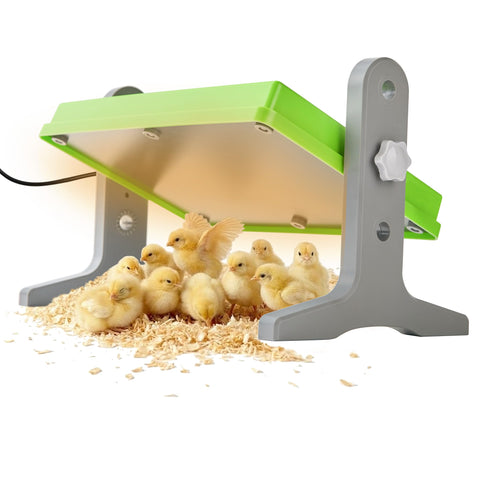 Fuzzy Bird Chick Brooder plate in green, top view, keeps chicks warm.