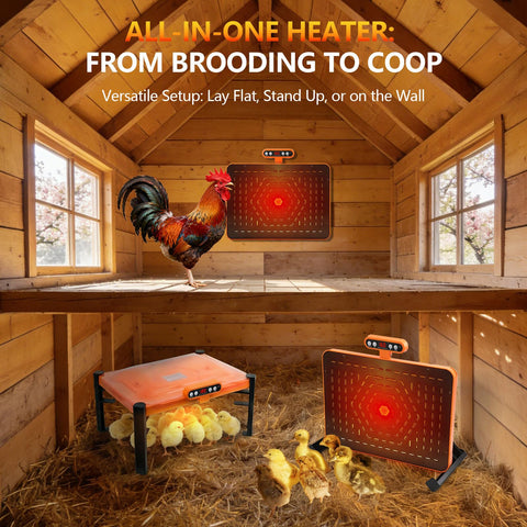 Durable ABS construction and easy-clean surface of the brooder plate