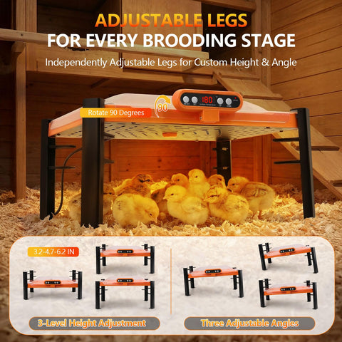 Energy-efficient 150W brooder plate suitable for various small animals