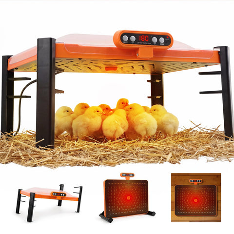 Fvlotrik Smart Brooder Plate with digital display for precise warmth management
