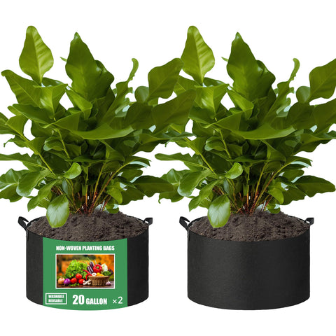 FVOTNW 2-pack 20 gallon grow bag with handles for easy relocation of vegetables.