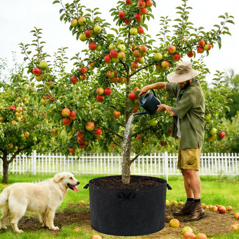 FVOTNW reusable grow bag promotes sustainable, long-term gardening