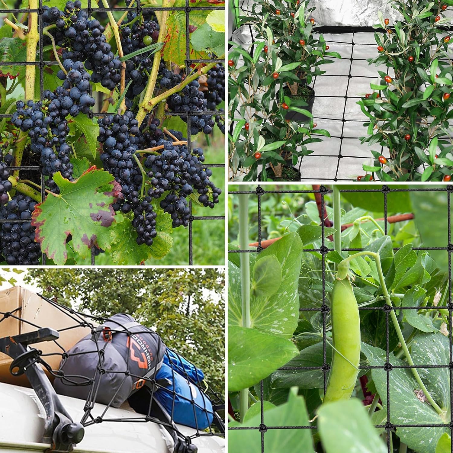FXweonder two pack offers added coverage for multiple plants