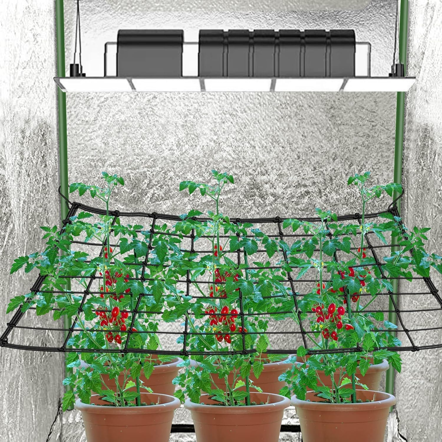 FXweonder trellis net with S hooks shown for secure vine training