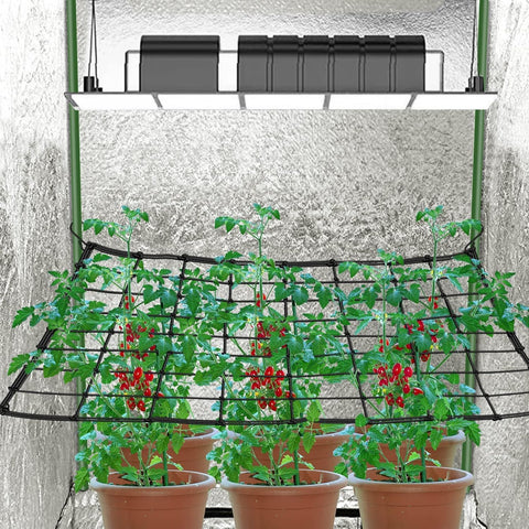 FXweonder trellis net with S hooks shown for secure vine training