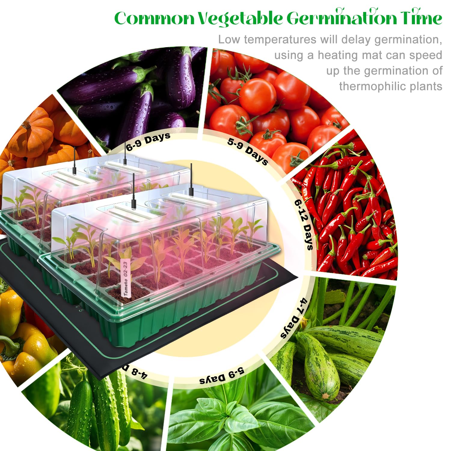 FYLXURO 4x24-LED grow lights provide full-spectrum illumination