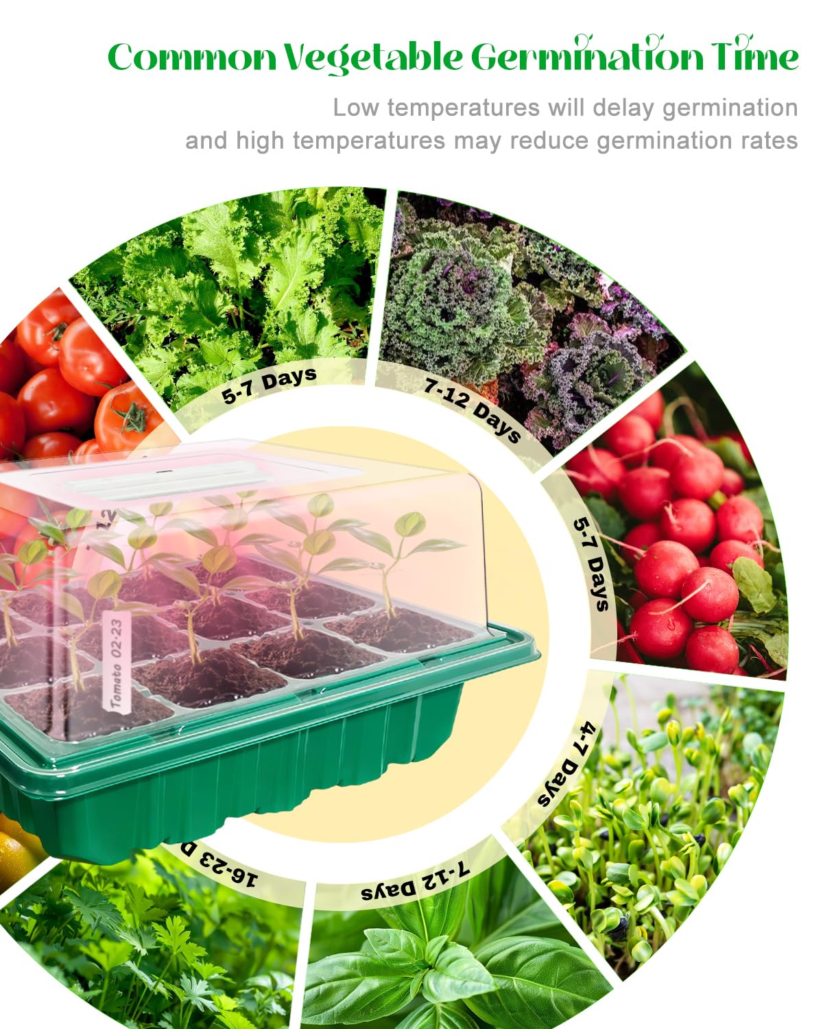 FYLXURO all-in-one seed start kit includes essential components