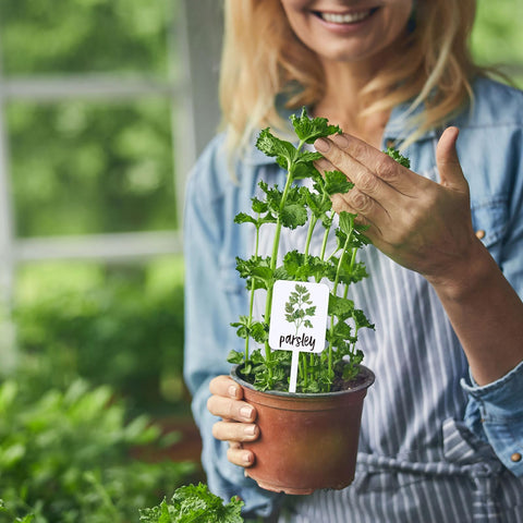FYSUIMU indoor-outdoor decor tags add color to nurseries and greenhouses.
